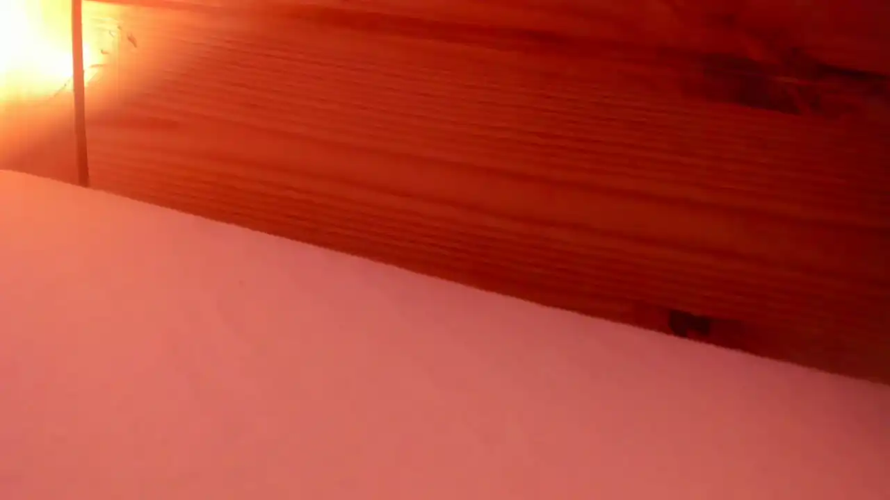 Vanillaisforicecram_ – Showup Recorded Sex Show – 2025-11-23 18:26:22