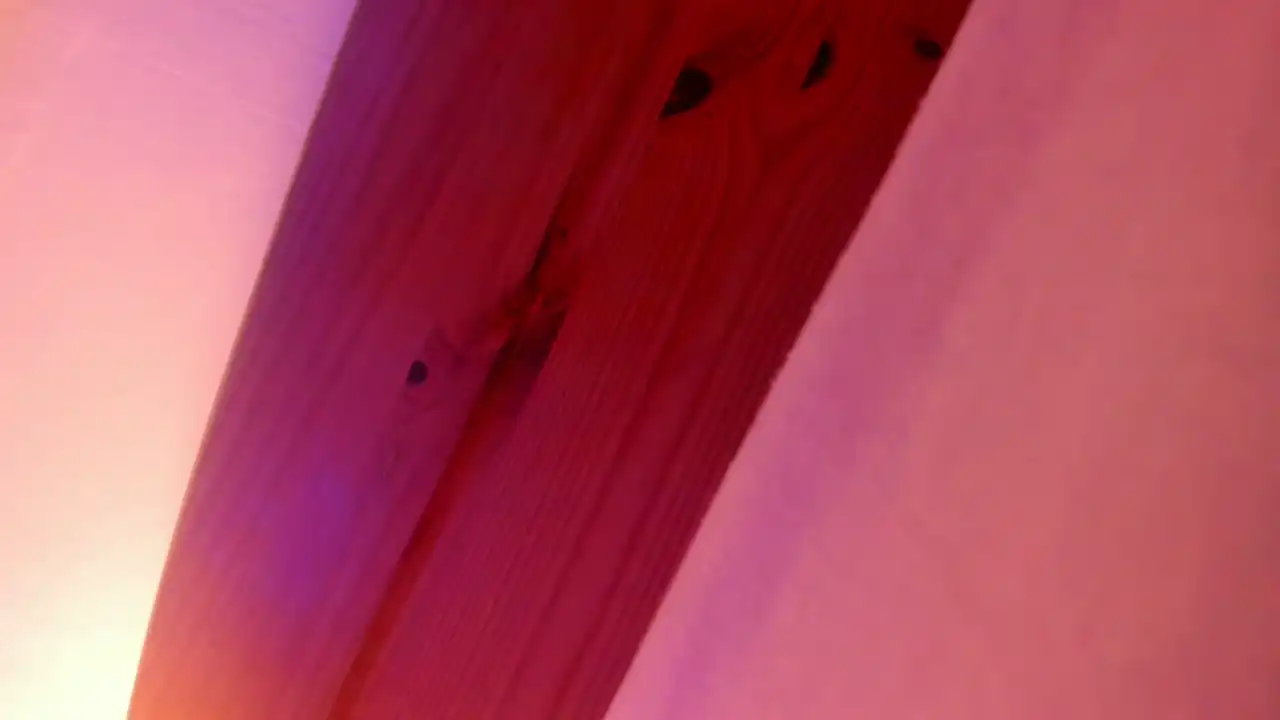 Vanillaisforicecram_ – Showup Recorded Sex Show – 2025-02-04 16:34:57