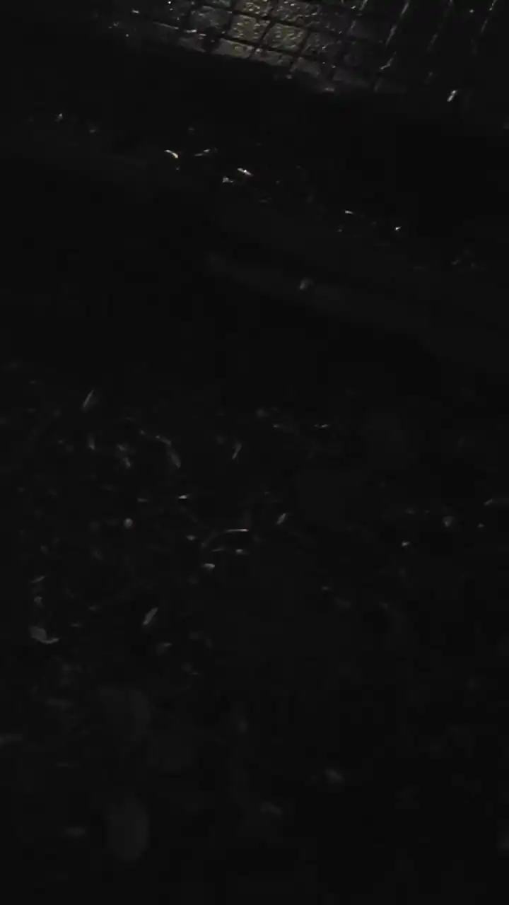 Melted555 – Cam4 Recorded Sex Show – 2026-02-09 11:52:47