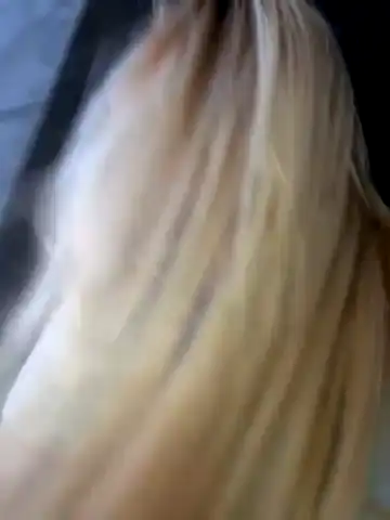 Darlineelder – Stripchat Recorded Sex Show – 2026-05-01 17:35:53