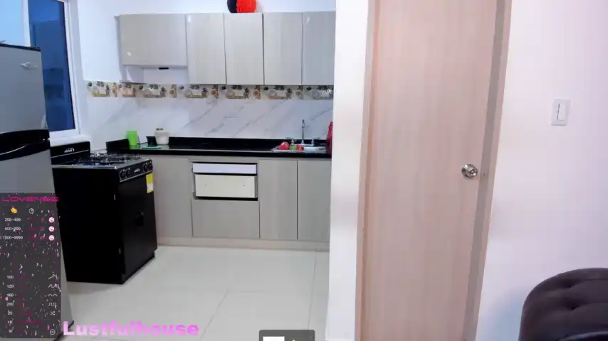 Lustfulhouse – Stripchat Recorded Sex Show – 2025-12-12 12:14:52