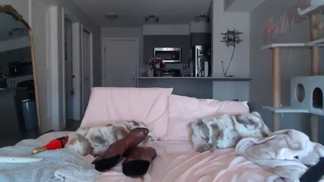 Alexiswildest – Myfreecams Recorded Sex Show – 2026-05-03 03:36:20